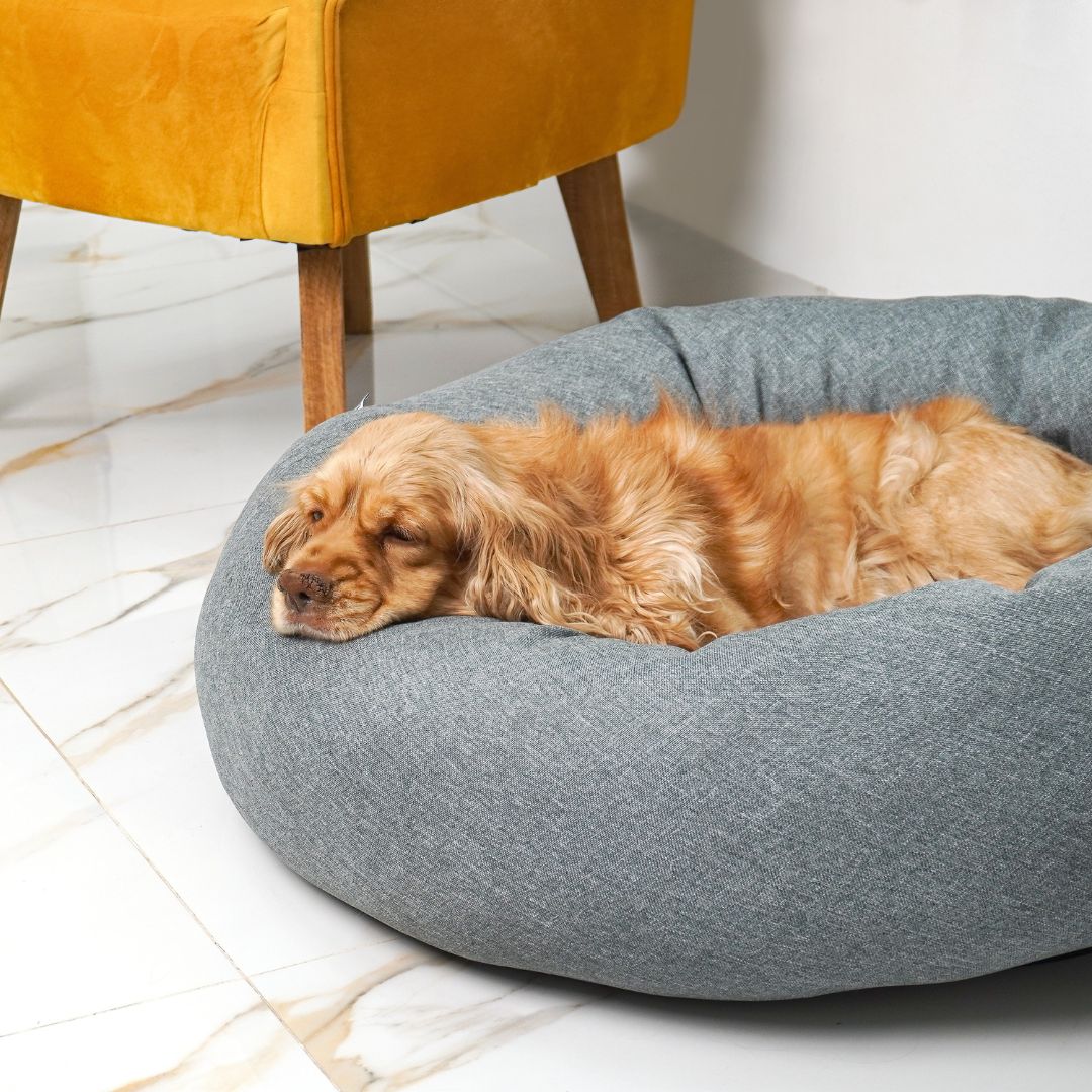 Funda Lino para Cama Antiestrés para Perros