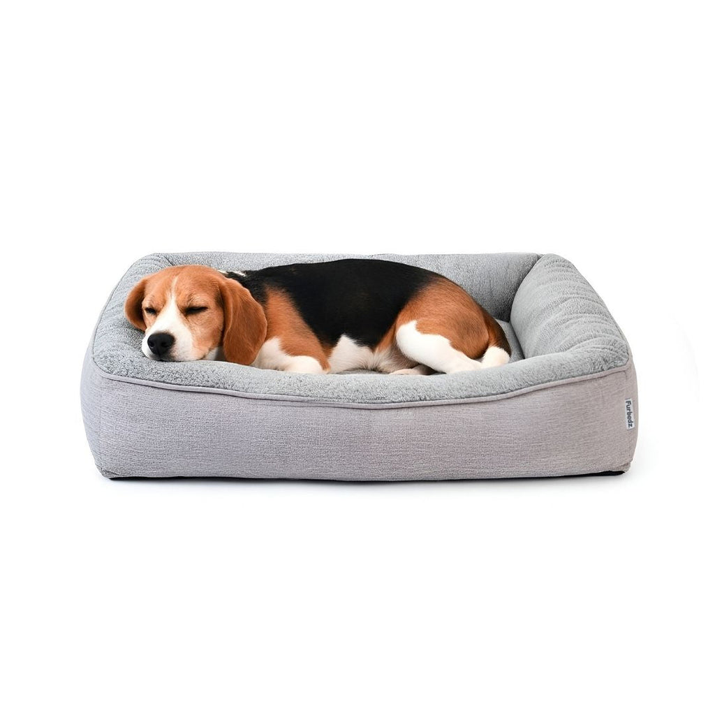 Cama Sofá para Perros
